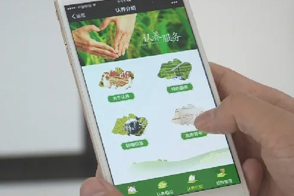 如何制作报名小程序